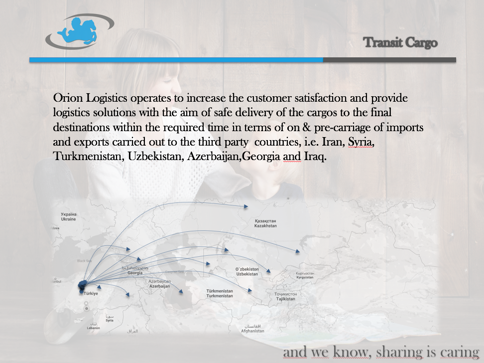 ORION INTERNATIONAL LOGISTICS Orion Uluslararası Lojistik